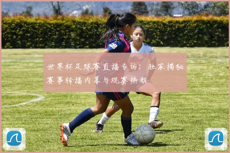 世界杯足球赛直播专访：独家揭秘赛事转播内幕与观赛热潮